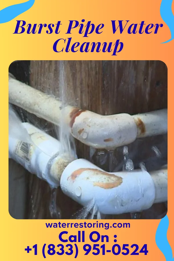 Burst Pipe Water Cleanup in Sunbrook, PA