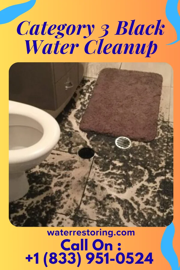 Category 3 Black Water Cleanup in Sunbrook, PA