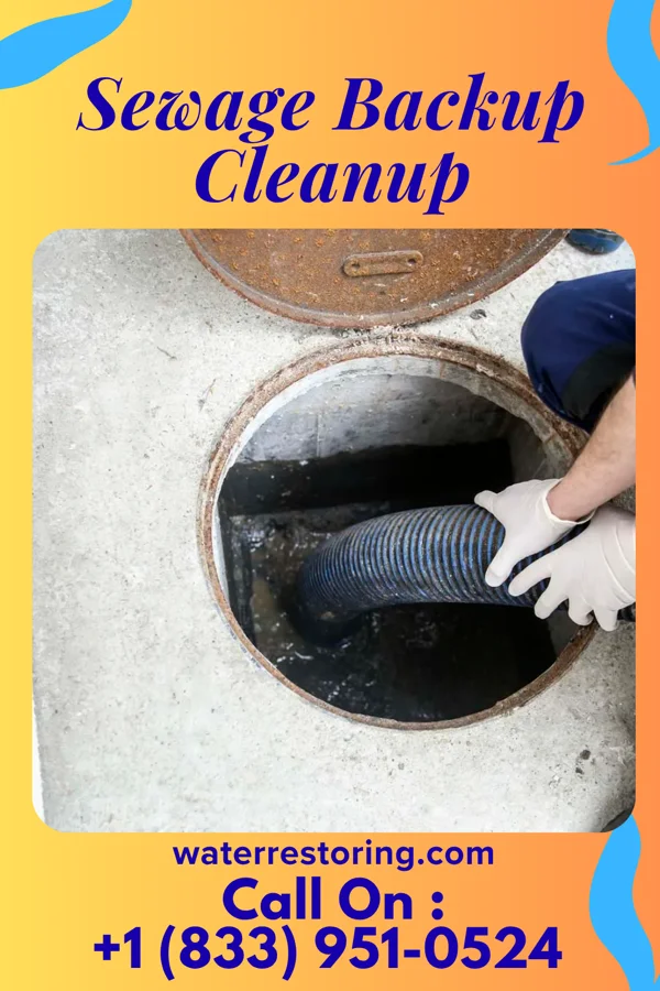 Sewage Backup Cleanup in Sunbrook, PA